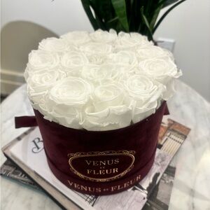 Venus et Fleur - Small round classic White roses.